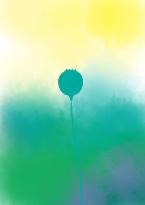 凡拓绘图板教程：插画创作《花语》