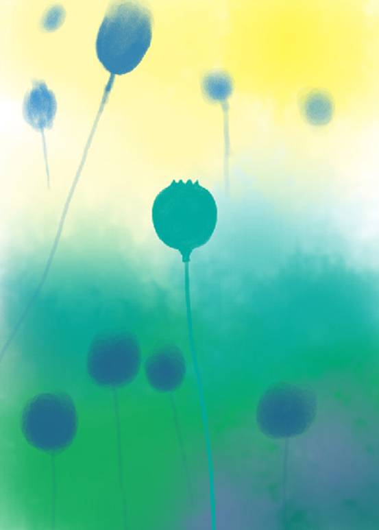 凡拓绘图板教程：插画创作《花语》